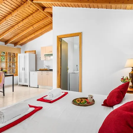 101 Bright With Pool View